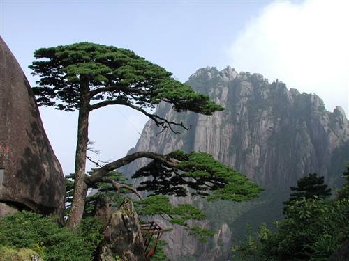 广州到黄山物流专线,广州到黄山货运公司